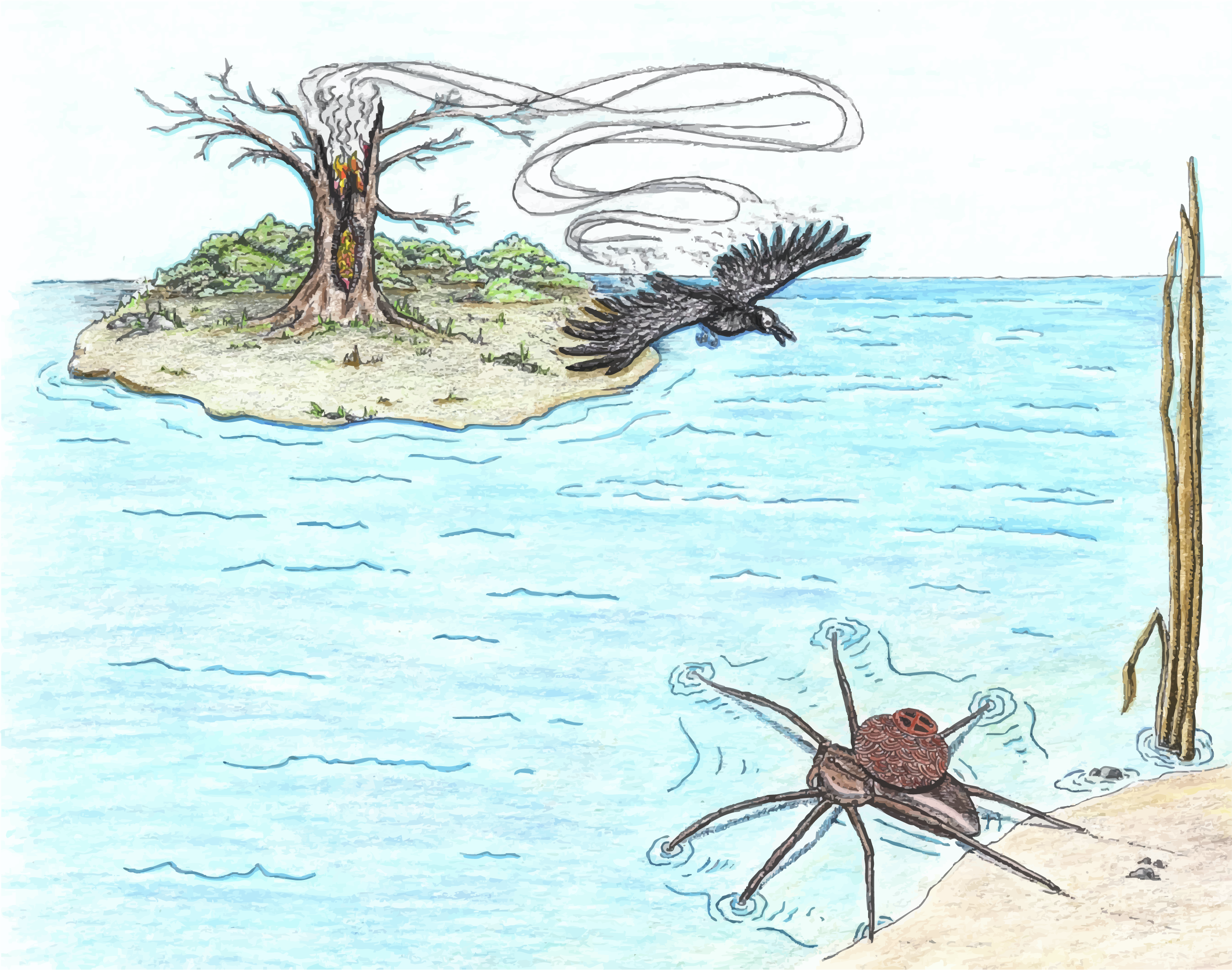 “Water Spider and Fire”
